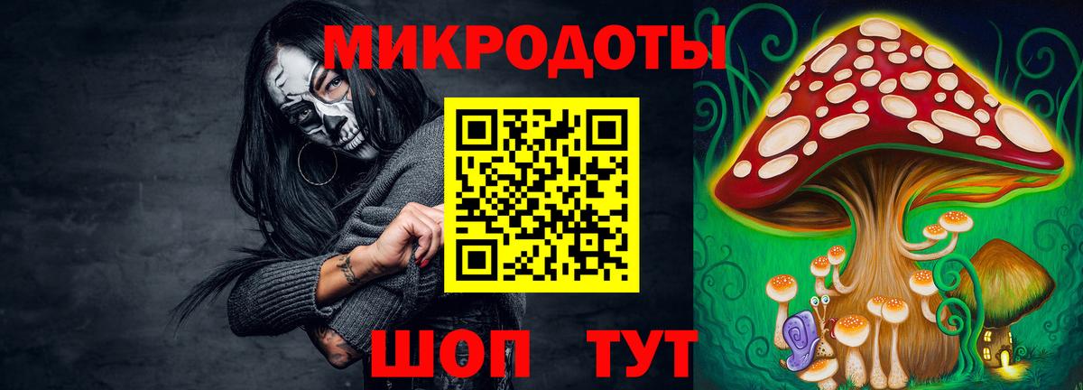 Псилоцибиновые грибы прущие грибы  Берёзовский 