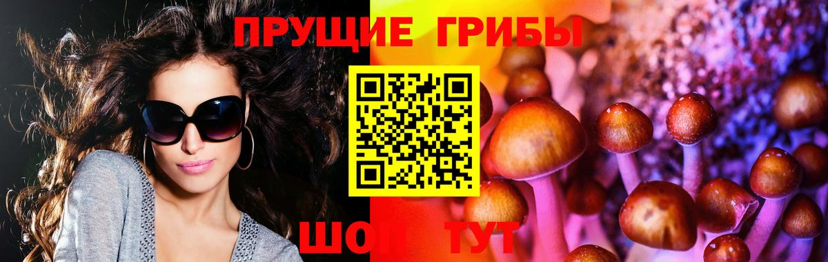 Псилоцибиновые грибы MAGIC MUSHROOMS Берёзовский