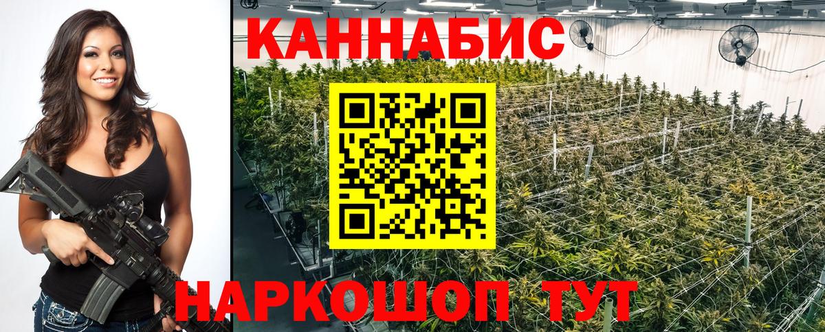Каннабис индика  Бошки Шишки Bruce Banner  Вход с VPN  Шишки марихуана гибрид  Берёзовский 